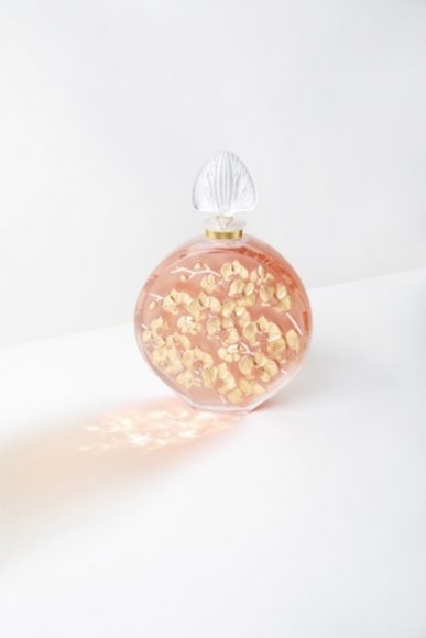 b21118 2020 limited edition orchidee crystal 72dpi jpg jpeg