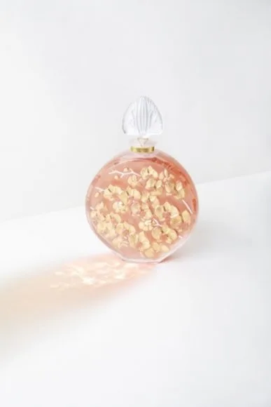 b21118 2020 limited edition orchidee crystal 72dpi jpg jpeg