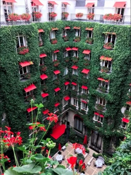 Le Plaza Athénée, un Palace Parisien Haute Couture 18 capture decran 2019 06 09 a 10 30 11