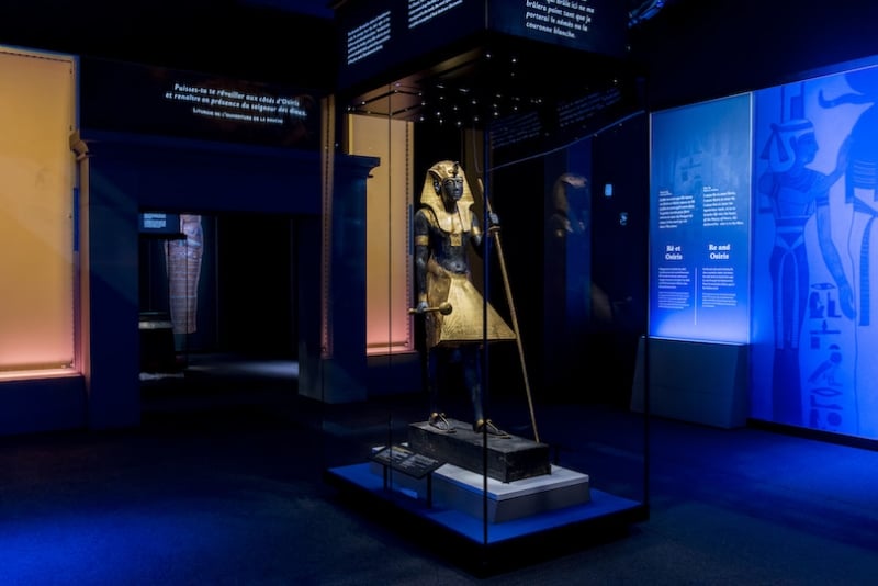 vincentnageotte img toutankhamon paris ngt1493 jpg