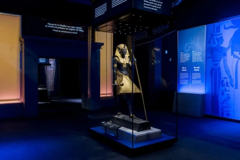 vincentnageotte img toutankhamon paris ngt1493 jpg