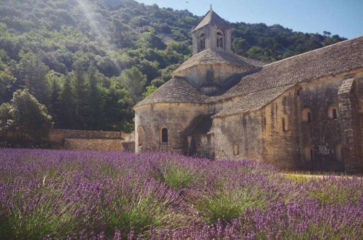 Abbaye de Sénanque villages Gordes