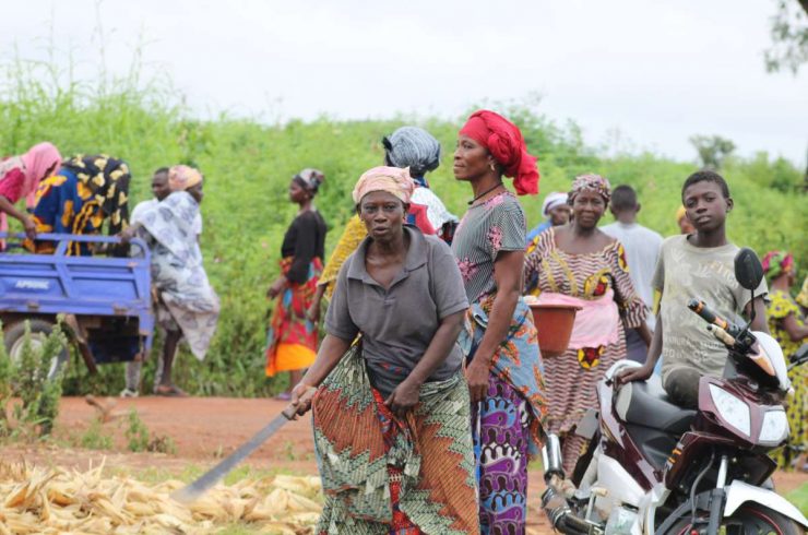 Projet Afrique Fond vert R20 changement climatique