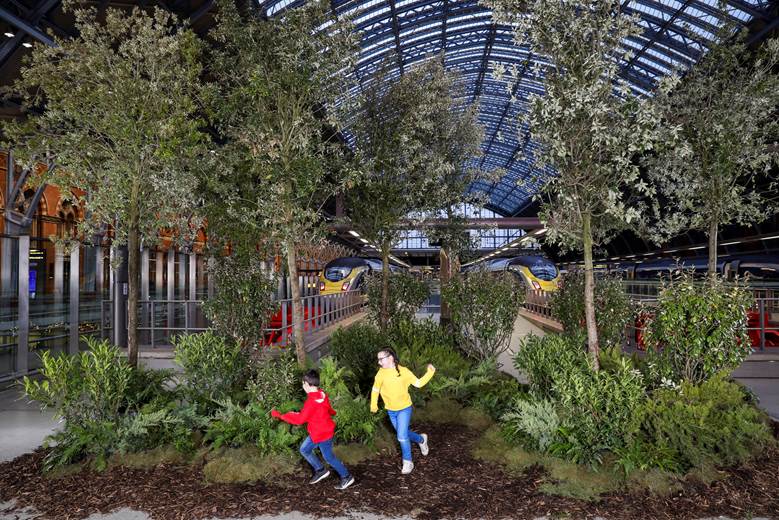 Eurostar plante des arbres pour la panète