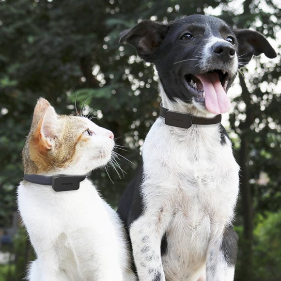 pet tracker cat dog