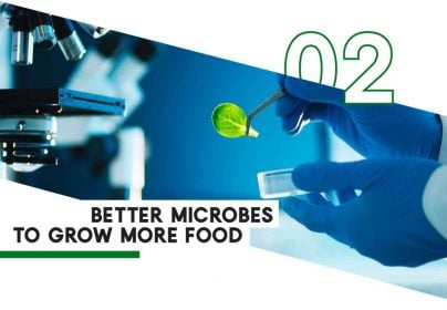 microbes