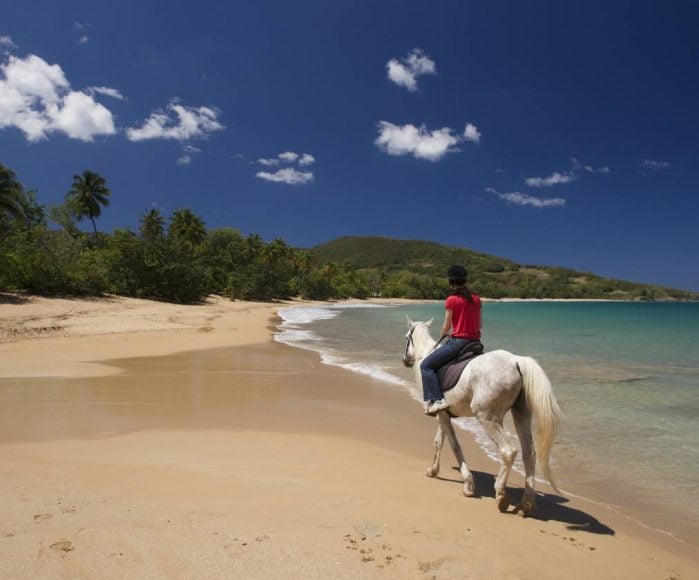 143 balade a cheval en bord de meref80a2sainte rose davenport