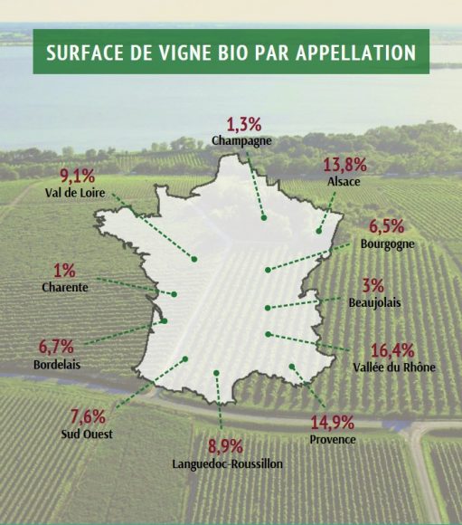 surface bio