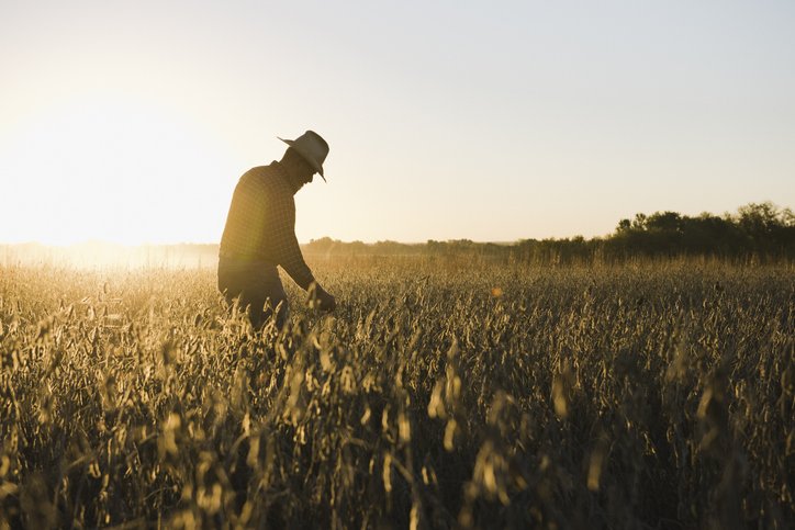 agriculteur