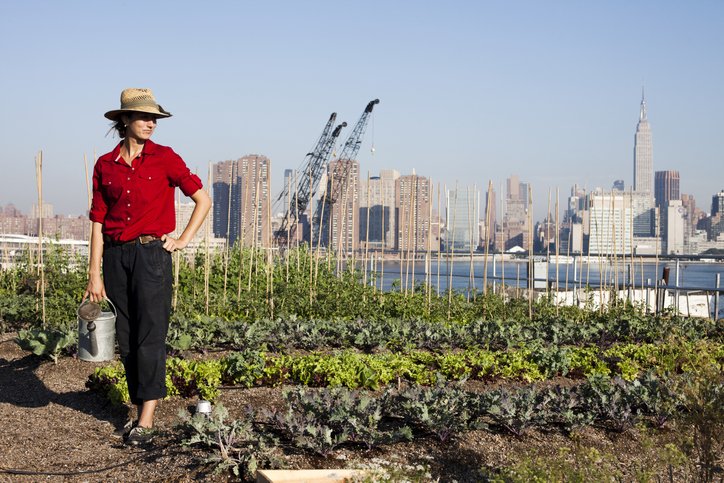 agriculture urbaine