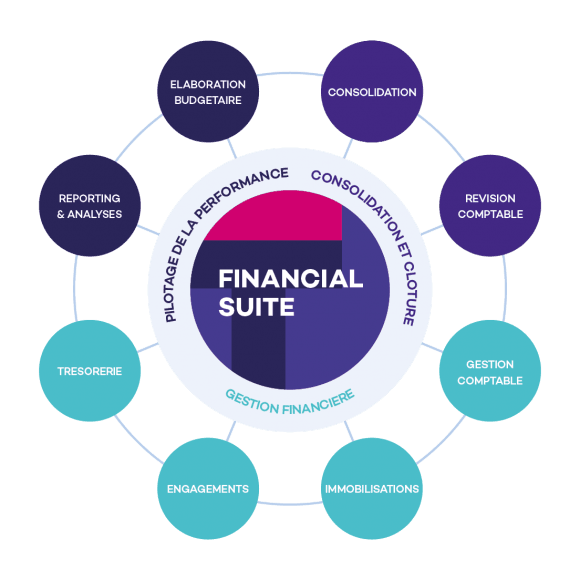 talentia ds financial suite illustration