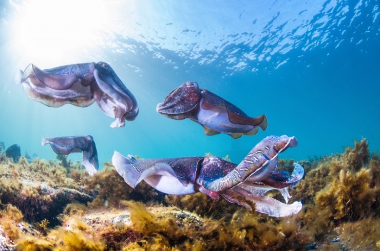L Australie Et Ses Merveilles Naturelles Epoustouflantes Forbes France L Australie Et Ses Merveilles Naturelles Epoustouflantes Forbes France