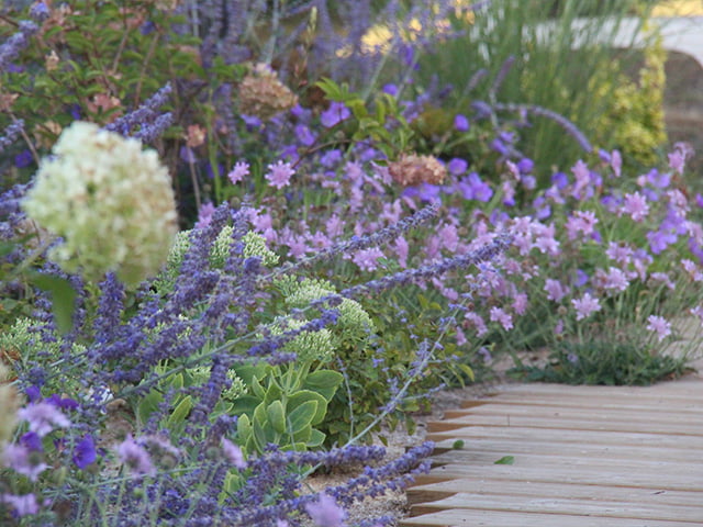 Draw Me A Garden, l’innovation digitale au service du jardin | Forbes