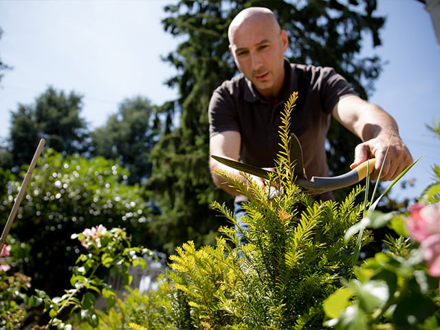 Draw Me A Garden, l’innovation digitale au service du jardin | Forbes