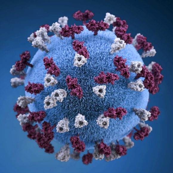 covid 19 coronavirus covid cell pandemic corona virus 1608799 pxhere com