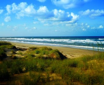 sandbridge beach credit virginiaorg