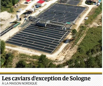 Le caviar français s’invite à la table des grands 4 caviar français