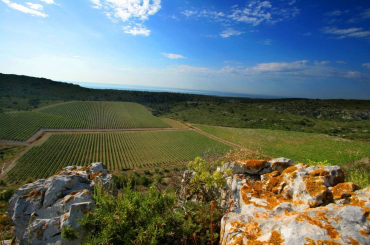 gerard bertrand chateau l hospitalet credit photo gilles deschamps