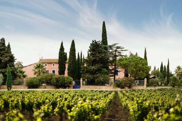 gerard bertrand domaine de cigalus credit photo soufiane zaidi
