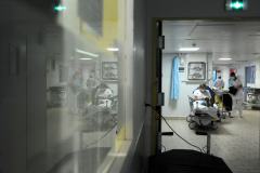 covid-19