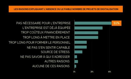 pourquoi peu ou pas de projet digital dans les tpe france source ifop mastercard