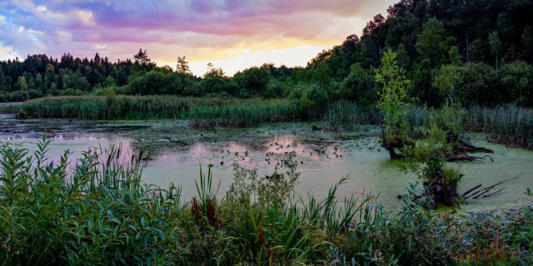 Voyage en pleine nature