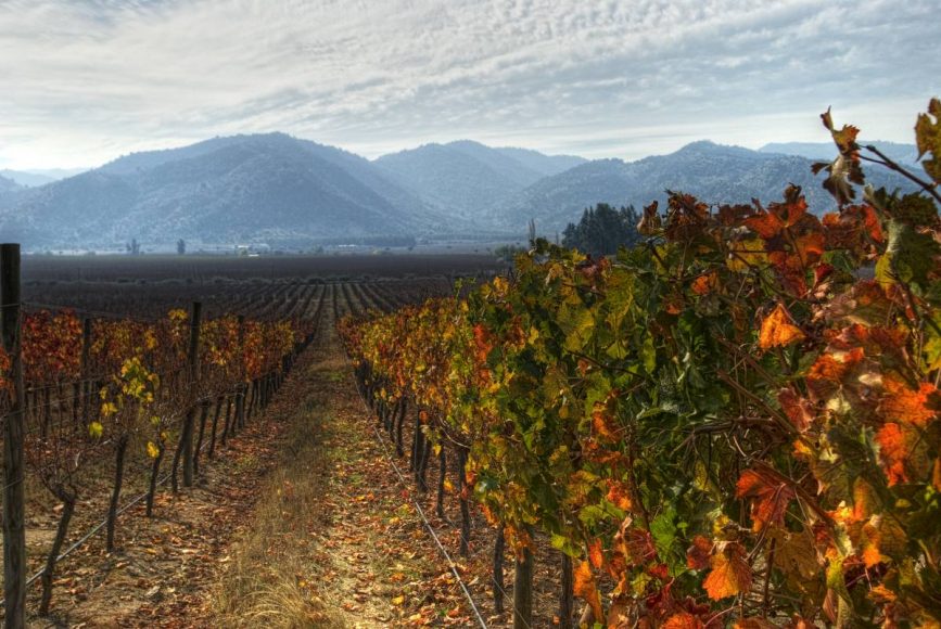 Vallée de Colchagua