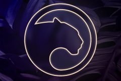 Panther Protocol