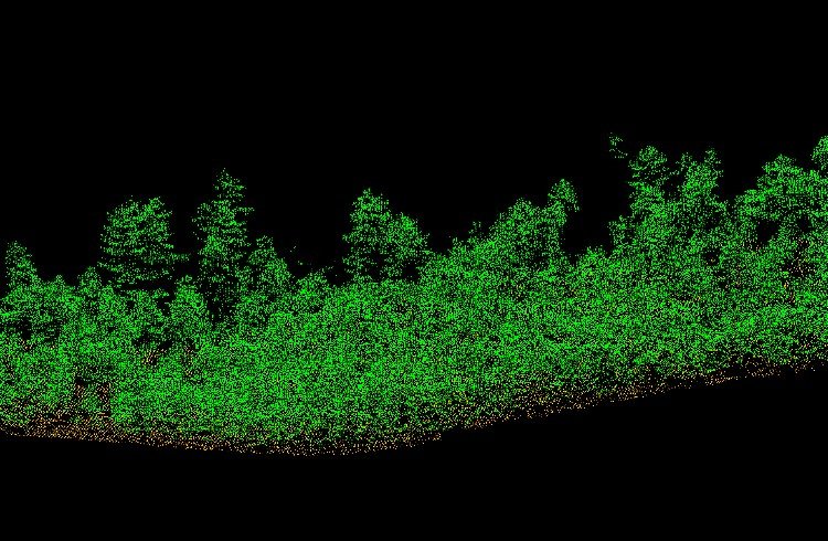 Visualisation Lidar de la forêt de Forcalquier.