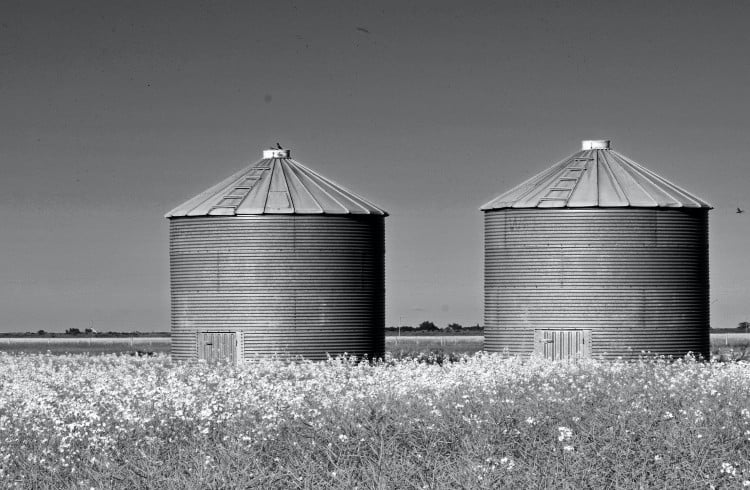 Javelot optimise le stockage de denrées agricoles