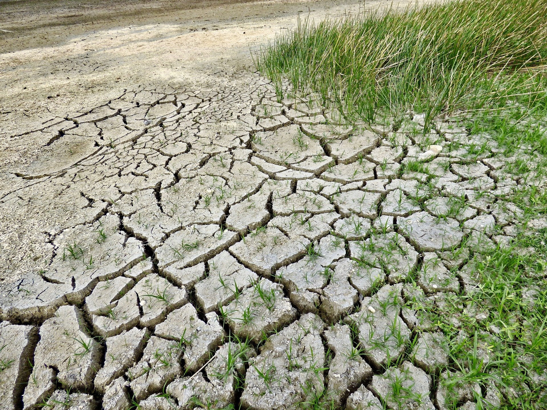 changement climatique