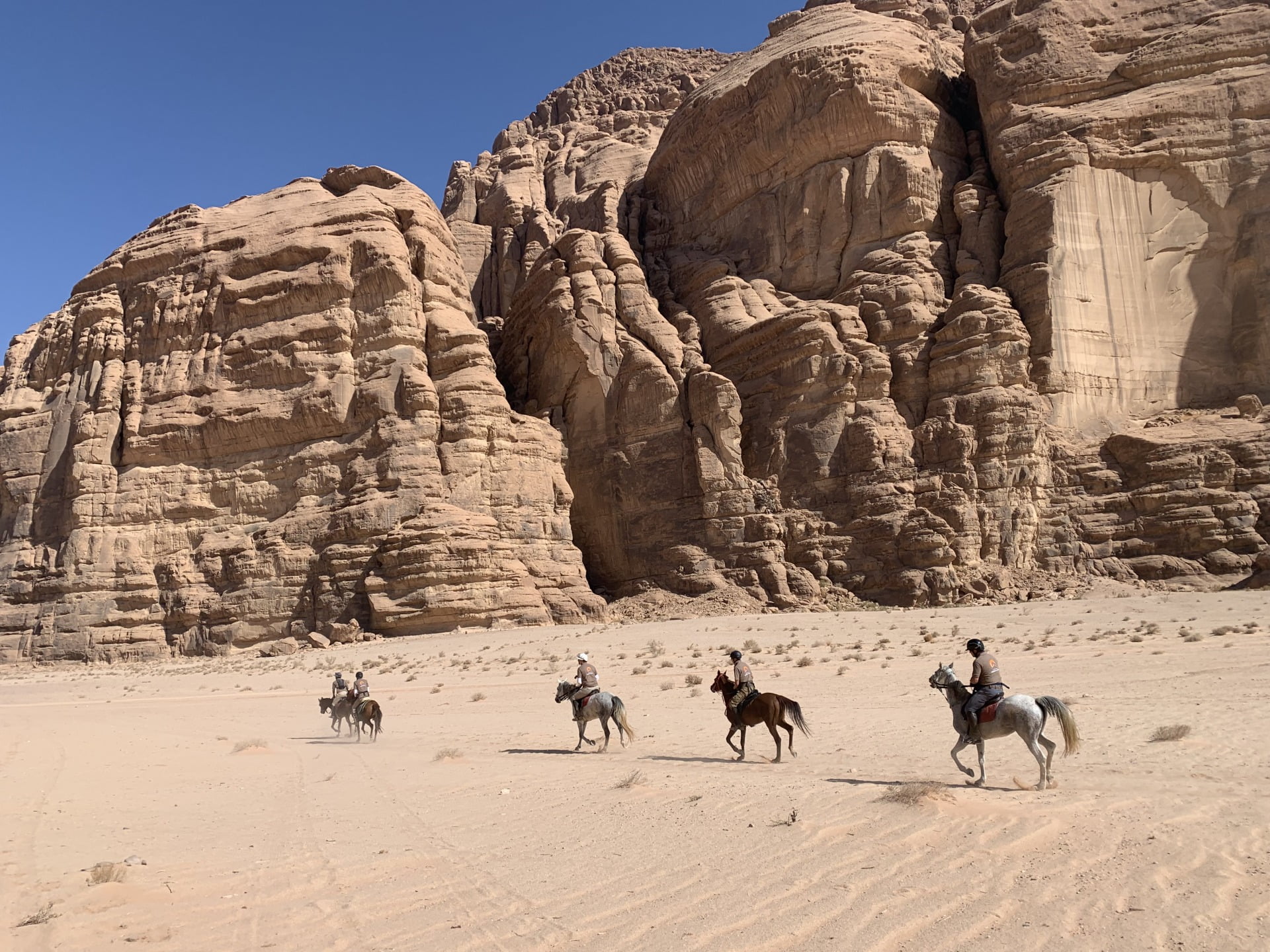 Tourisme raid Cheval Jordanie Gallops