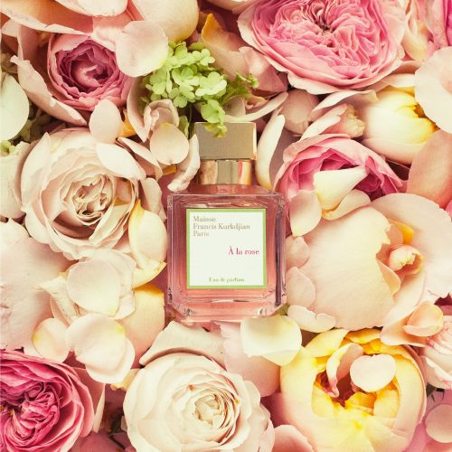 a la rose mood visual e1659891493139