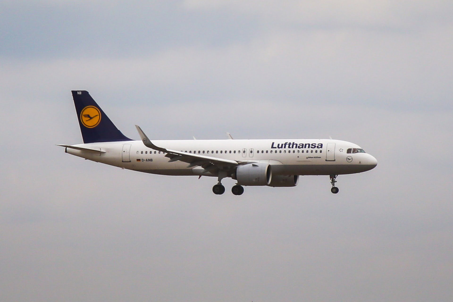 Lufthansa