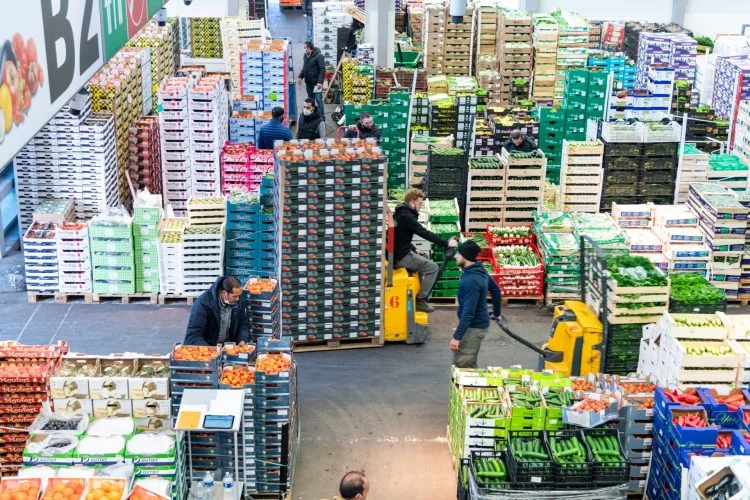 rungis market fruits legumes 1