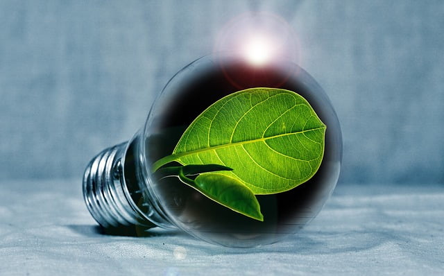 lightbulb gbdc66305f 640
