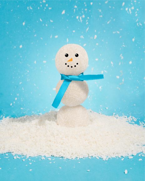 coconut snowman 01
