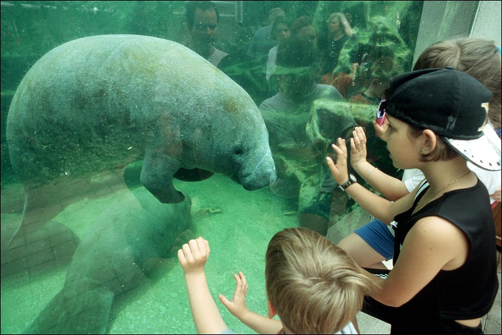 Zoo de Beauval