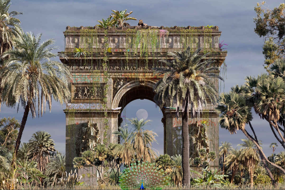 art ecologie developement
