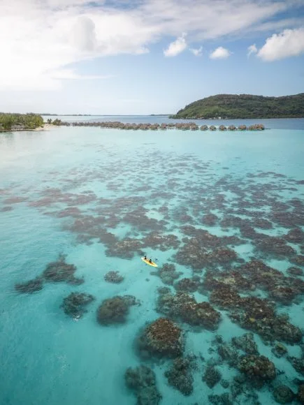 08 de notre opinion ces croisieres sont une experience inoubliable ponant julien fabro