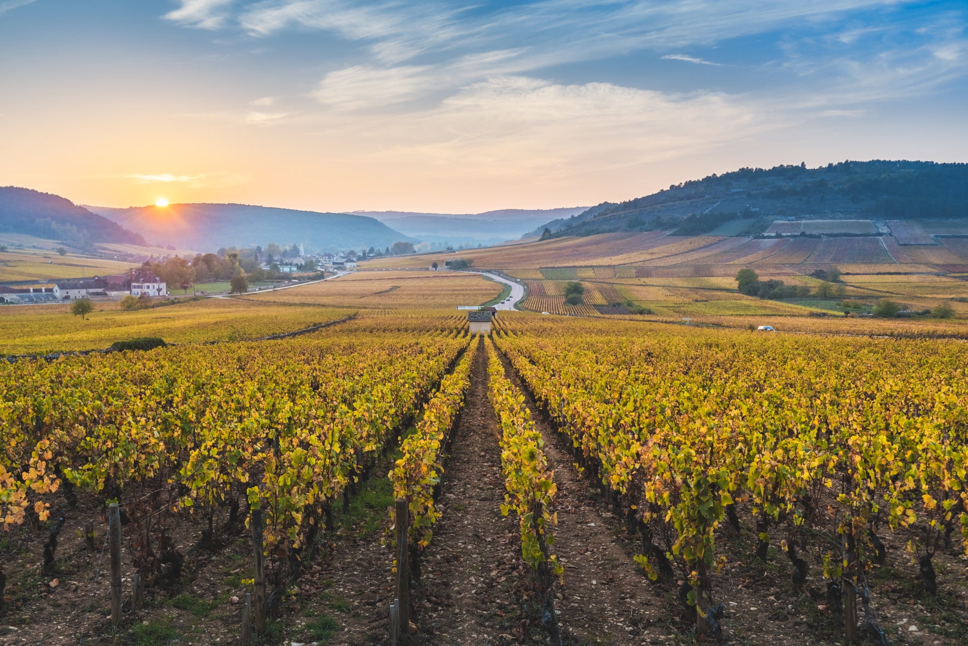 Economie. Exportations : un nouveau record en 2022 pour les vins de  Bourgogne