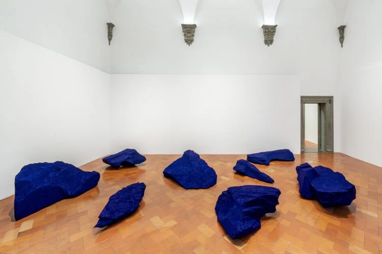 sala 8a