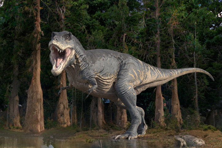 dinosaures