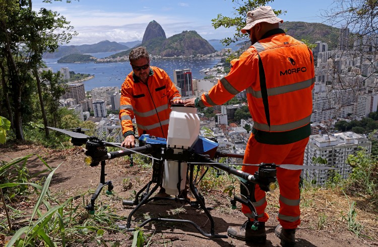 drone morfo