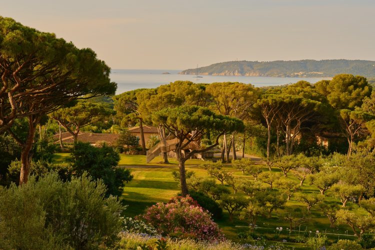 la messardiereoliveraie jardinier vue d22ensemble 2