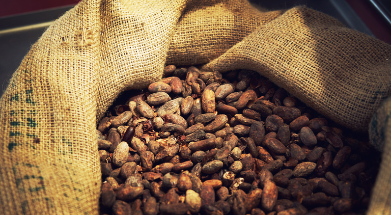 cacao
