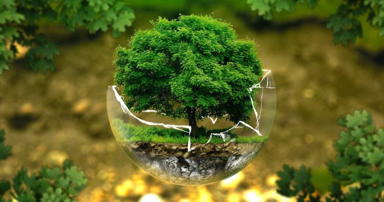 TRIBUNE | Quel que soit le résultat des élections, poursuivons nos efforts de transition environnementale pour ne pas compromettre notre souveraineté économique future
