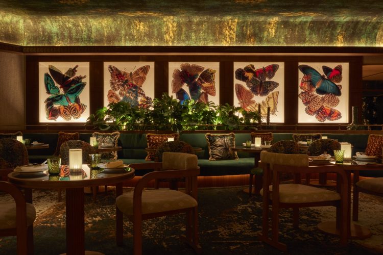 amazonico monte carlo restaurant salle 2024 008