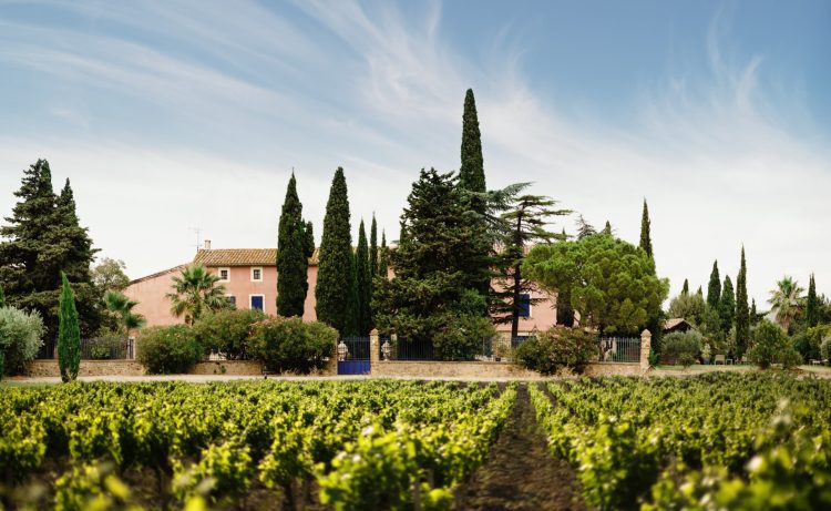 gerard bertrand domaine de cigalus credit photo soufiane zaidi 1