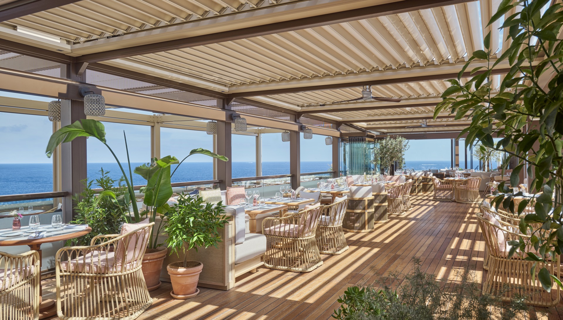 amu monte carlo anthony parkinson 2